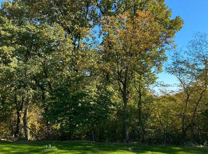 Kucica U Sumici 펜션